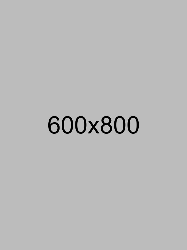 armin-djuhic-609206-unsplash